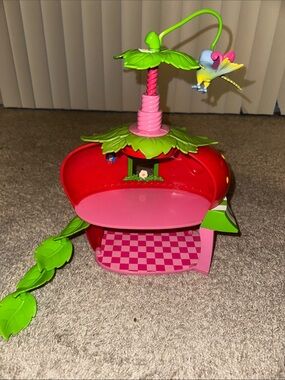 Strawberry shortcake play house